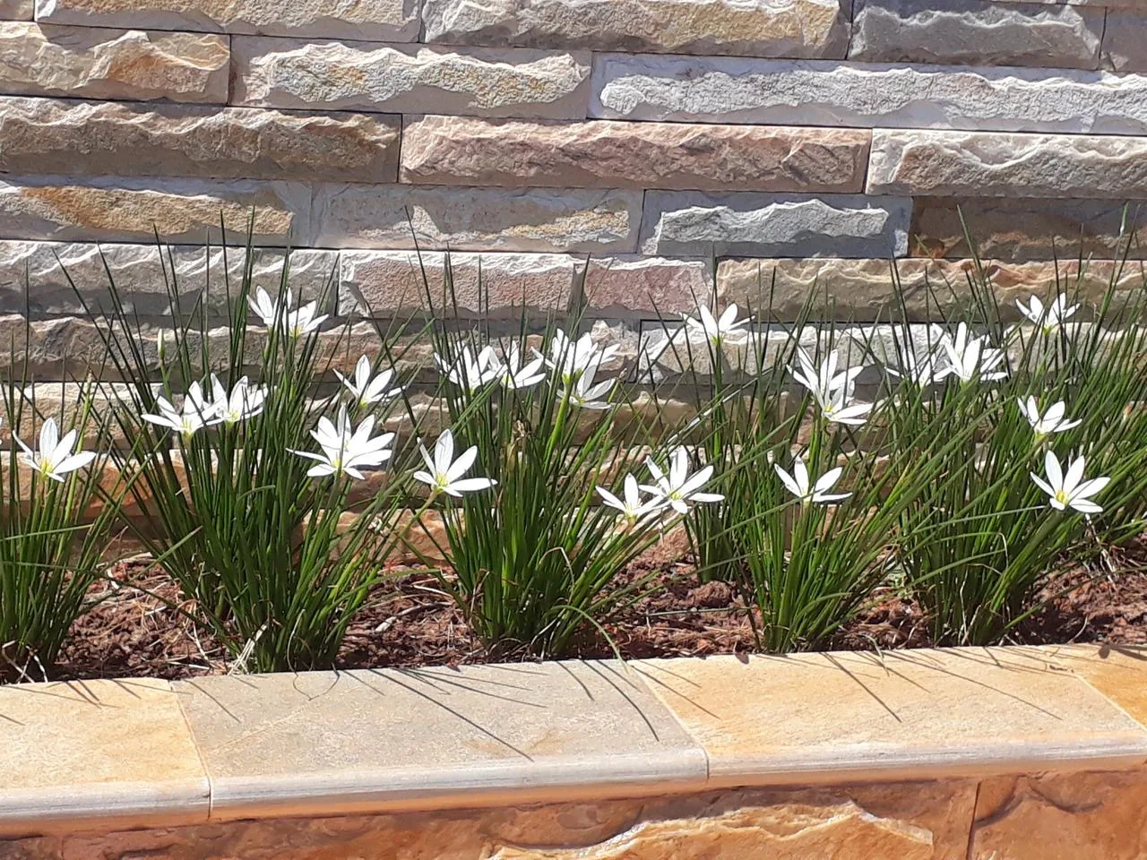 Aplicação em jardim